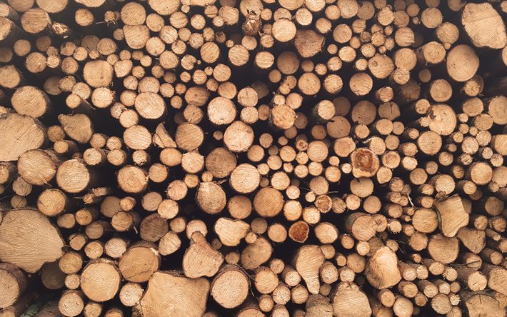 薪質感, 4k, マクロ, 木の背景, 木製の質感, 薪, 木丸太の質感, 木ログ