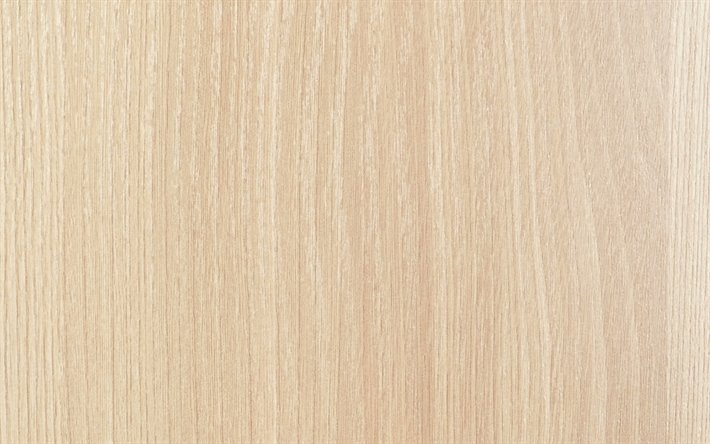 L&#39;Eucalyptus de texture, en bois clair, de la texture, de la lumi&#232;re, en bois, fond, texture de bois, d&#39;Eucalyptus