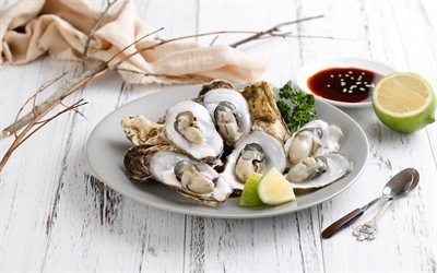 musslor, fisk och skaldjur, citron, sk&#229;l med musslor