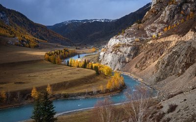 fiume di montagna, autunno, paesaggio di montagna, giallo, alberi, foresta, USA