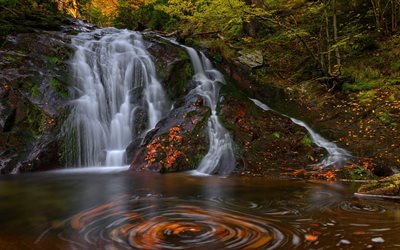 autunno, cascata, foresta, paesaggio autunnale, le foglie in acqua, foglie gialle, bella cascata