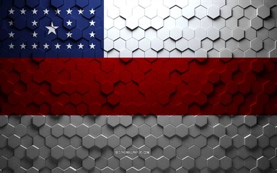 Amazonas flagga, honeycomb art, Amazonas hexagon flagga, Amazonas, 3d hexagon art