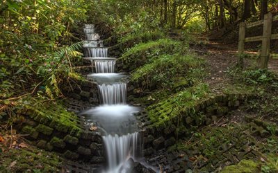 waterfall, forest, steps, stone, Whelley Waterfall, england