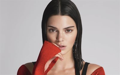 Kendall Jenner, model, beautiful girl, brunette, portrait, red sweater