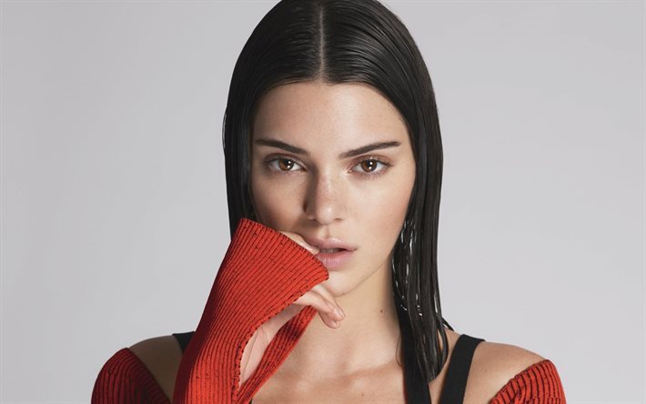 Kendall Jenner, modelo, menina bonita, morena, retrato, su&#233;ter vermelho