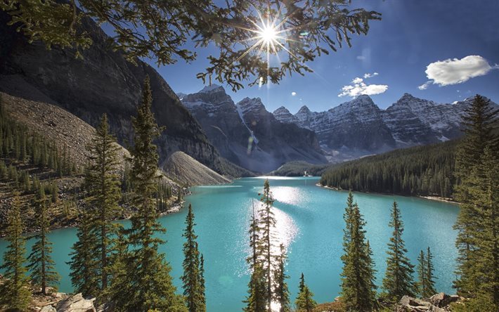 mountain lake, glacier lake, forest, mountains, Canada, Moraine Lake, Alberta