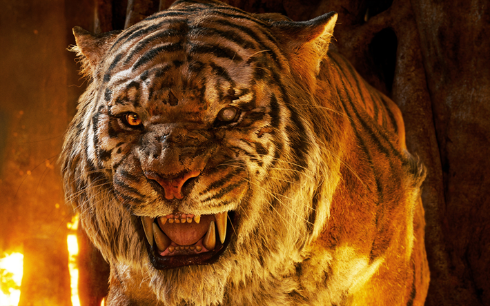 tigre, 4k, predadores, fogo, O Livro Da Selva