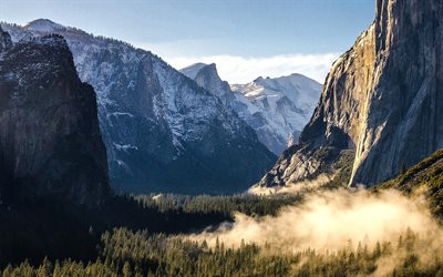 Am&#233;rica, Vale De Yosemite, manh&#227;, floresta, american marcos, O Parque Nacional De Yosemite, Calif&#243;rnia, EUA, montanhas