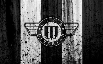 4k, FC Libertad Asuncion, grunge, Paraguayan Primera Division, soccer, football club, Paraguay, Libertad Asuncion, art, logo, stone texture, Libertad Asuncion FC