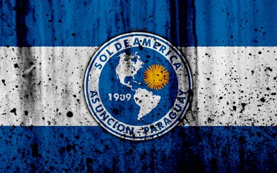 4k, FC Sol de America, grunge, Paraguayan Primera Division, soccer, football club, Paraguay, Sol de America, art, logo, stone texture, Sol de America FC