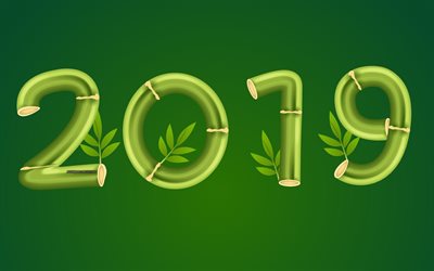 2019 year, bamboo letters, numbers, 2019 concepts, New 2019, ecology, environment concepts, bamboo, wooden numbers