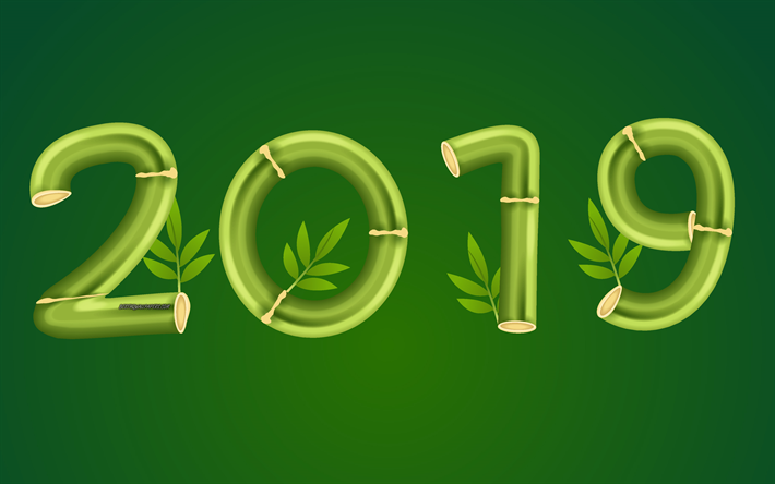 2019 year, bamboo letters, numbers, 2019 concepts, New 2019, ecology, environment concepts, bamboo, wooden numbers