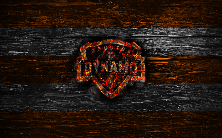Houston Dynamo FC, el fuego del logotipo, de la MLS, naranja y blanco lines, american football club, el grunge, el f&#250;tbol, el logotipo de la Conferencia Oeste, Houston Dynamo, de madera de textura, estados UNIDOS