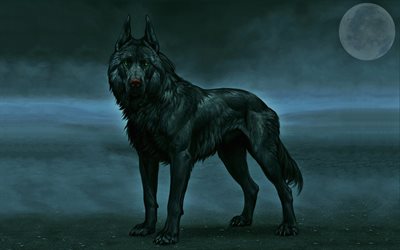 black wolf, nacht, gr&#252;ne augen, mond, nebel, wildlife