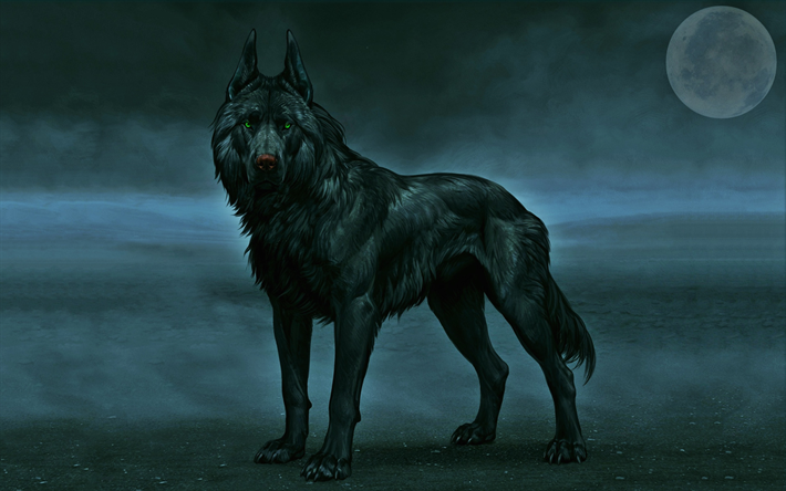 lobo negro, noche, ojos verdes, la luna, la niebla, la vida silvestre