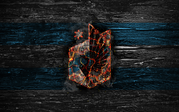 Minnesota United FC, fire logo, MLS, white and blue lines, american football club, grunge, football, soccer, logo, Western Conference, Minnesota United, wooden texture, USA
