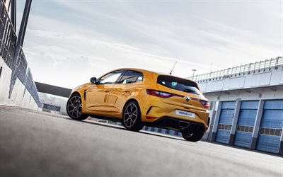 2019, Renault Megane RS Trophy, rear view, exterior, tuning, new yellow Megane, racing track, Renault
