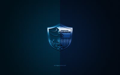 BB Erzurumspor, Turkish football club, 1 Lig, blue logo, blue carbon fiber background, football, Erzurum, Turkey, BB Erzurumspor logo, Buyuksehir Belediye Erzurumspor