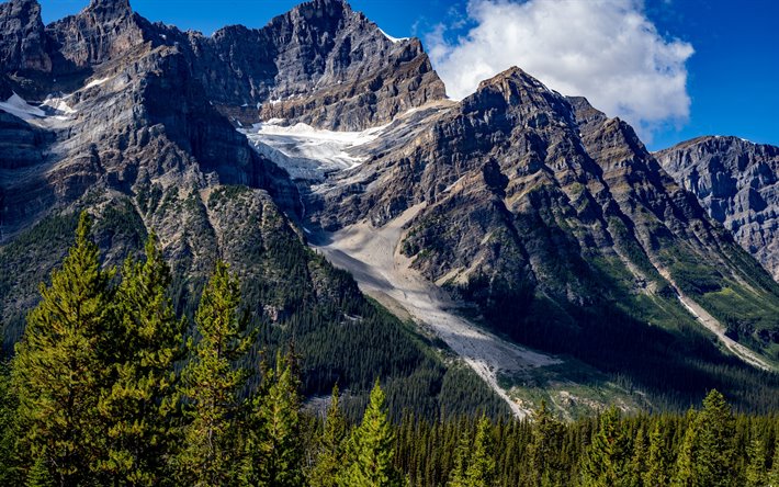 岩山, カナダ, 山々, 森林, 緑の木々, カナダの山, 氷河