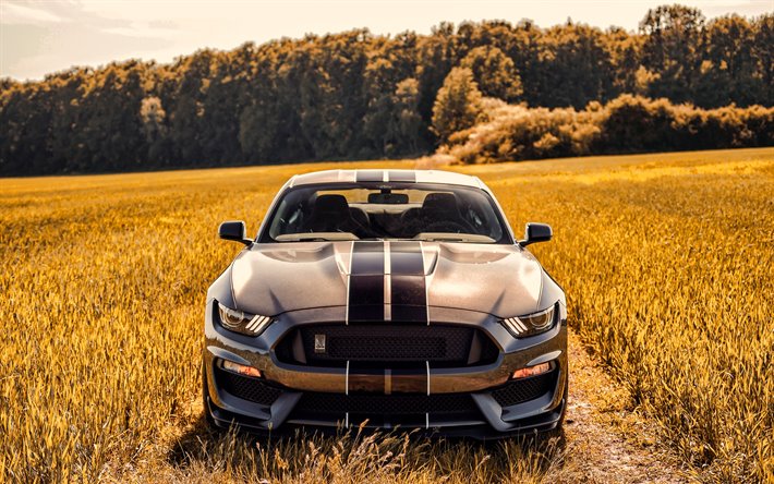 Ford Mustang Shelby GT350, 4k, offroad, 2019 carros, supercarros, 2019 Ford Mustang, os carros americanos, Ford