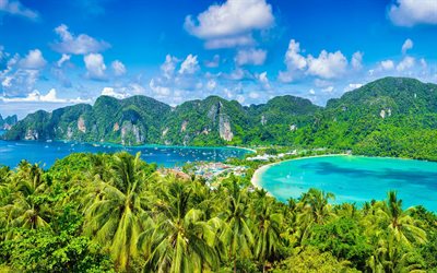 Isole Phi Phi, palme, isole tropicali, viaggi estivi, baia, yacht, Thailandia