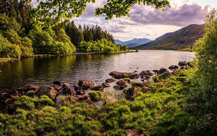 Snowdonia, 4k, kes&#228;, kaunis luonto, joki, mets&#228;, Wales, Iso-Britannia