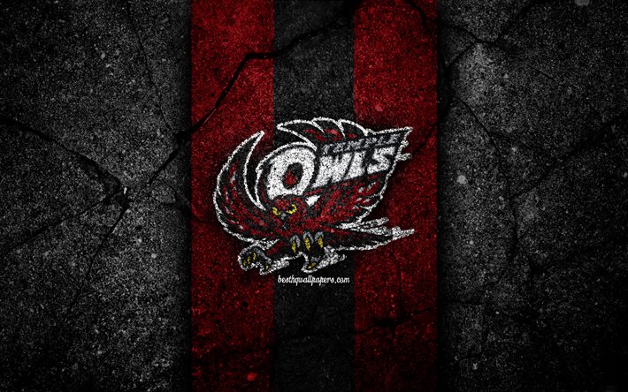 Temple Owls, 4k, squadra di football americano, NCAA, pietra nera viola, USA, trama di asfalto, football americano, logo di Temple Owls