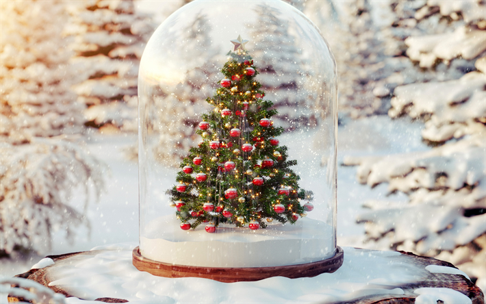 Sapin de No&#235;l en flacon de verre, D&#233;coration de No&#235;l, Bonne Ann&#233;e, Joyeux No&#235;l, hiver, neige