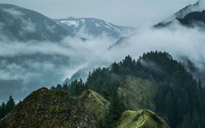 mountain range, morning, fog, mountain landscape, fog in the mountains, forest, cloudy weather