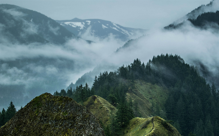 catena montuosa, mattina, nebbia, paesaggio montano, nebbia in montagna, foresta, tempo nuvoloso