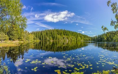 Skjennungen Lago, ver&#227;o, floresta, Oslo Condado, Noruega