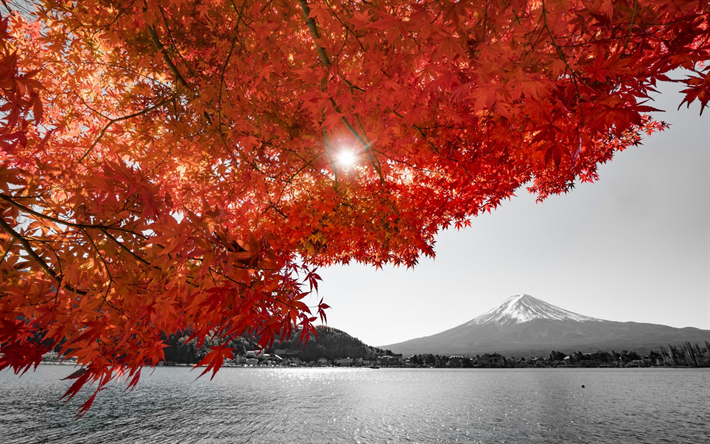 Fuji, volcano, Japan, autumn, orange leaves, mountains