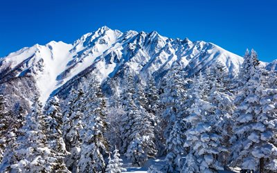 Nagano, Japonya, dağlar, kış, kar, dağ, Kış manzara