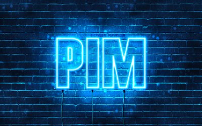 Pim, 4k, pap&#233;is de parede com nomes, nome de Pim, luzes de n&#233;on azuis, feliz anivers&#225;rio Pim, nomes masculinos holandeses populares, foto com o nome de Pim