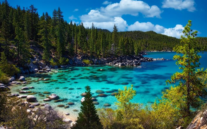 Lago Tahoe, baia blu, foresta, mattina, alberi verdi, antico lago, Sierra Nevada, Stati Uniti d&#39;America