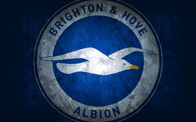 Brighton Hove Albion FC, English football club, blue stone background, Brighton Hove Albion FC logo, grunge art, Premier League, football, England, Brighton Hove Albion FC emblem