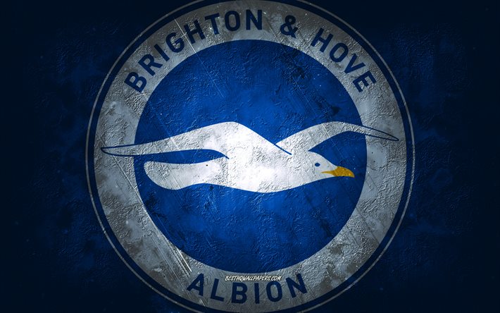 Brighton Hove Albion FC, squadra di calcio inglese, sfondo di pietra blu, logo Brighton Hove Albion FC, arte grunge, Premier League, calcio, Inghilterra, emblema del Brighton Hove Albion FC