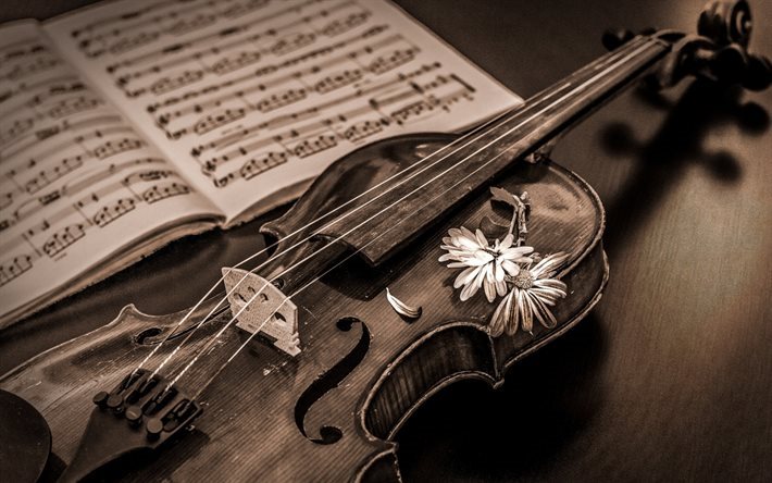 old violin, musical instrument, music, wooden violin
