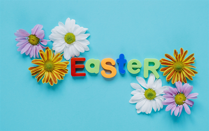 La pascua, flores de la primavera, de colores crisantemos, fondo azul, el 1 de abril de 2018, de 8 de abril, fiesta religiosa