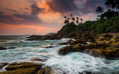 ilha tropical, costa, palmeiras, p&#244;r do sol, noite, praia, Tangalle, Sri Lanka
