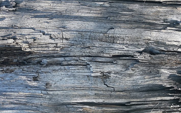 4k, 灰色の木製の質感, クローズアップ, 木の背景, 灰色の背景, 木製のテクスチャ, 木製のパターン, 木製の背景, 灰色の木