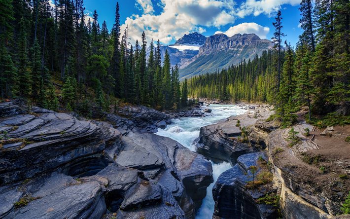 fiume di montagna, foresta, primavera, mattina, acqua, pietre, bel fiume, Parco nazionale di Banff, Canada