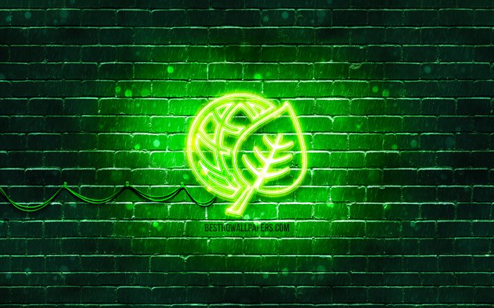 Icona al neon di ecologia, 4k, sfondo verde, simboli al neon, ecologia, creativit&#224;, icone al neon, segno di ecologia, segni di ecologia, icona di ecologia, icone di ecologia