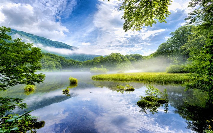 Nature japonaise, 4k, lac, paysages du matin, brouillard, Nara, Japon, Asie, belle nature, for&#234;t, montagnes