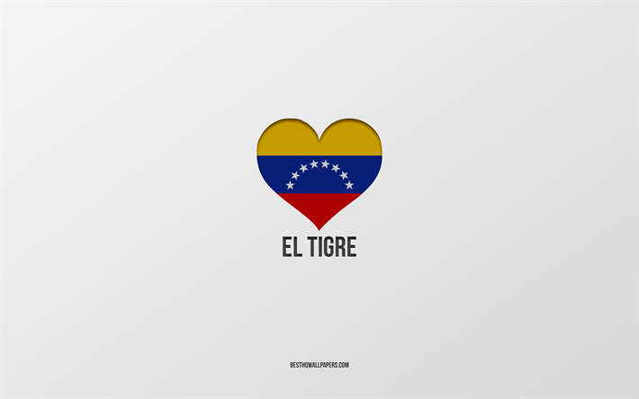 Amo El Tigre, citt&#224; colombiane, Giorno di El Tigre, sfondo grigio, El Tigre, Colombia, cuore della bandiera colombiana, citt&#224; preferite