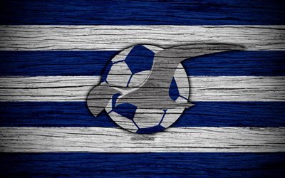 Haugesund FC, 4k, Eliteserien, logo, futebol, clube de futebol, Noruega, FK Haugesund, textura de madeira, FC Haugesund