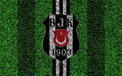 Besiktas JK, 4k, football lawn, logo, grass texture, Besiktas emblem, black and white lines, Turkish football club, Super Lig, Istanbul, Turkey, football, Turkish football superleague, Besiktas FC