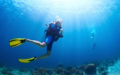 diving, underwater world, ocean, scuba diving, coral, reef