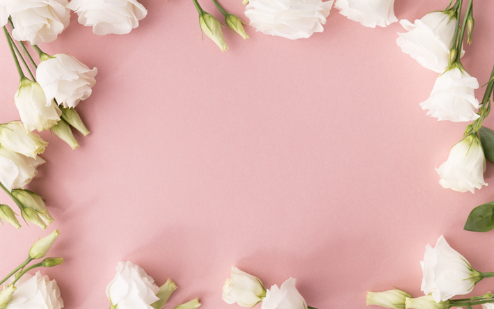 rose bianche, rosa, sfondo, cornice floreale, rose, modello di biglietto di auguri, eustoma