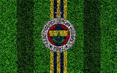Fenerbahce SK, 4k, jalkapallo nurmikko, logo, ruohon rakenne, tunnus, sininen keltainen linjat, Turkkilainen jalkapalloseura, Super Lig, Istanbul, Turkki, jalkapallo, Turkin jalkapallo superleague, Fenerbahce FC